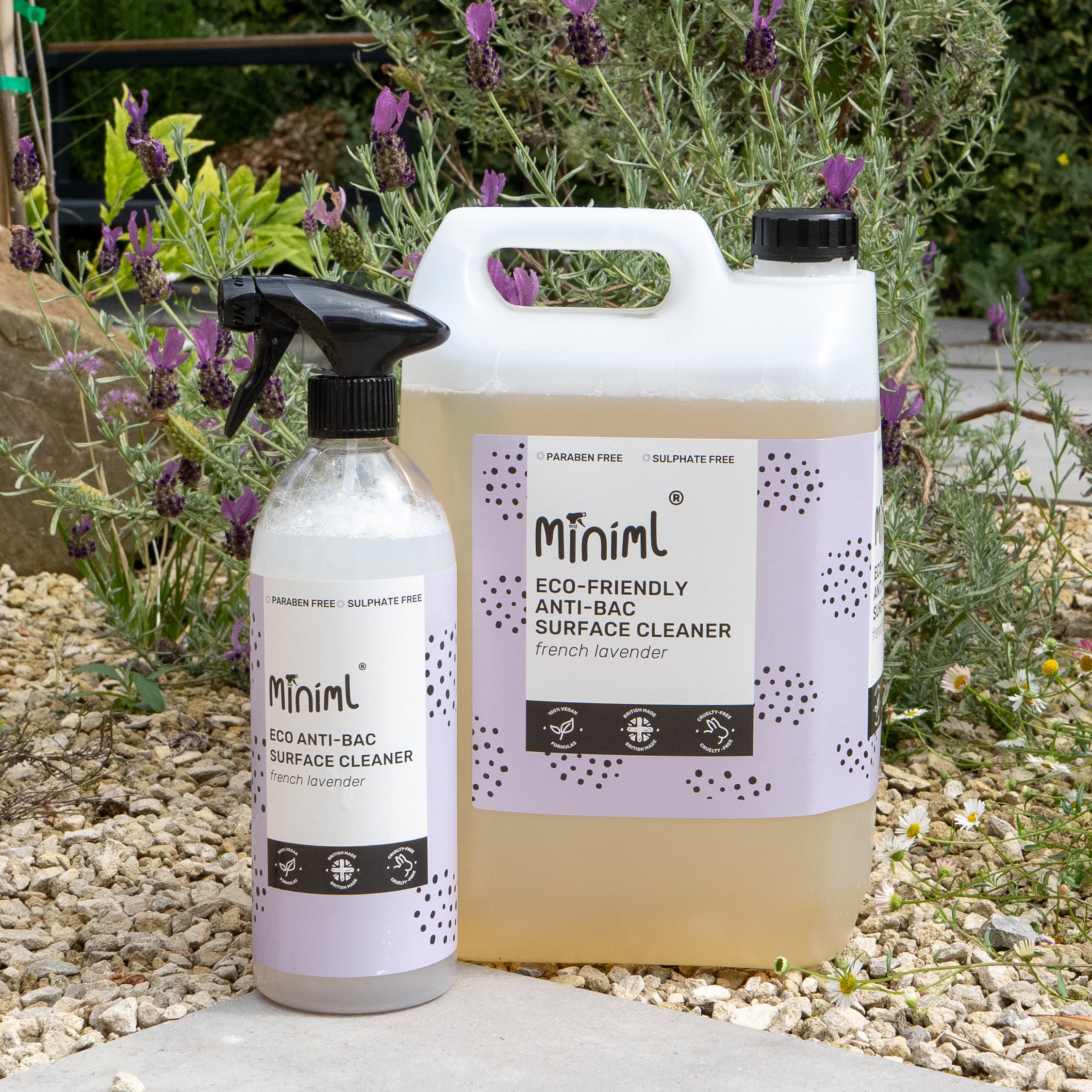 Anti-Bac Surface Cleaner - French Lavender