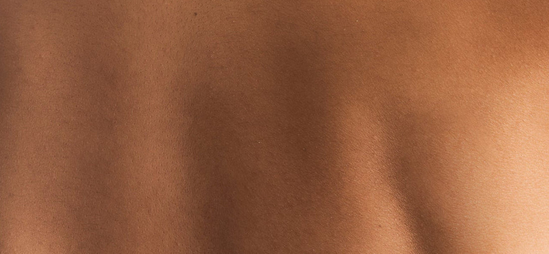 skin