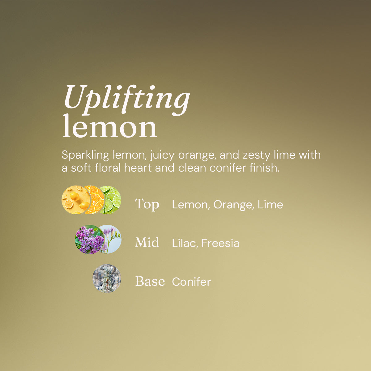 White Vinegar - Uplifting Lemon - Bulk Refill