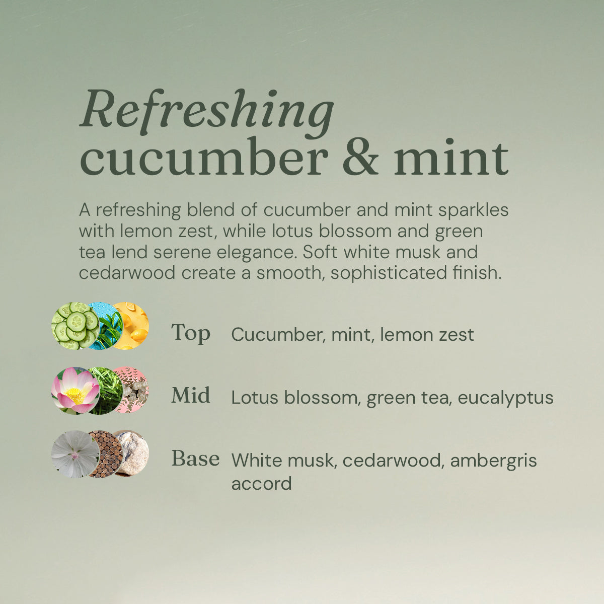 Anti-Bac Bathroom Cleaner - Refreshing Cucumber + Mint - Bulk Refill