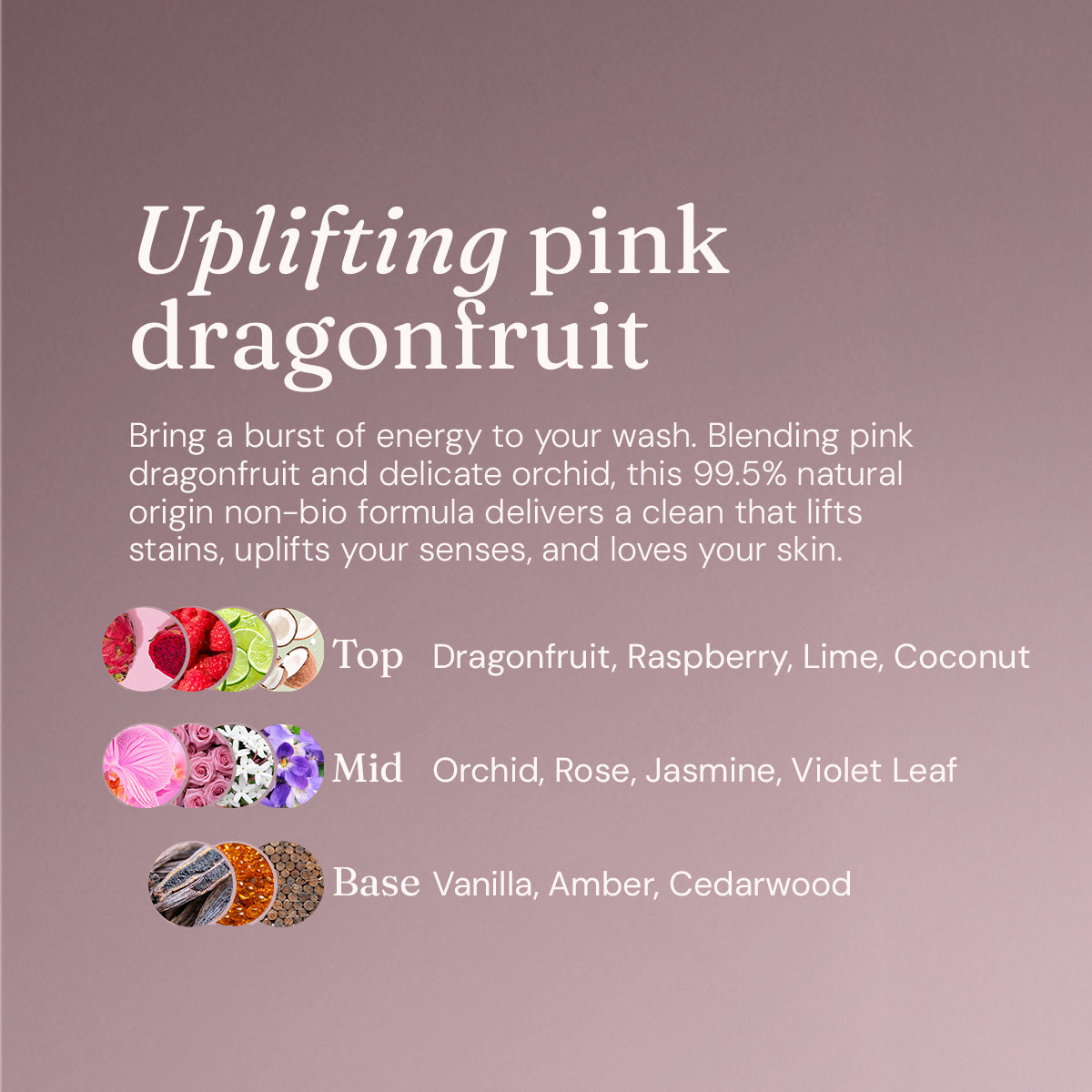 Laundry Essentials Bundle - Uplifting Pink Dragonfruit + Orchid