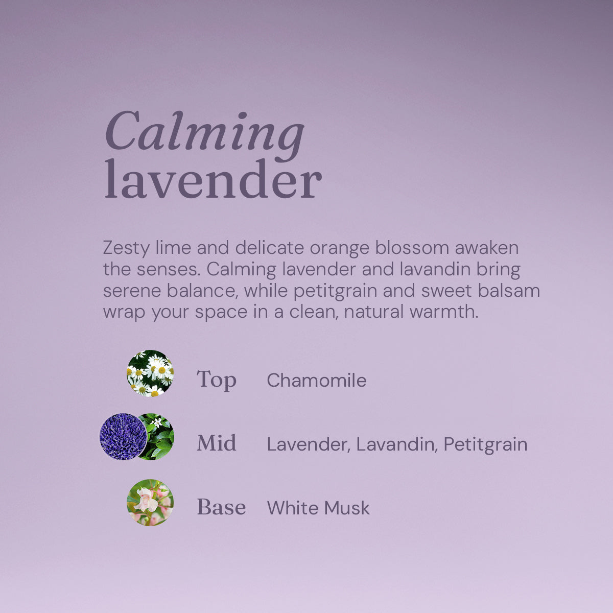 Nourishing Conditioner - Calming Lavender