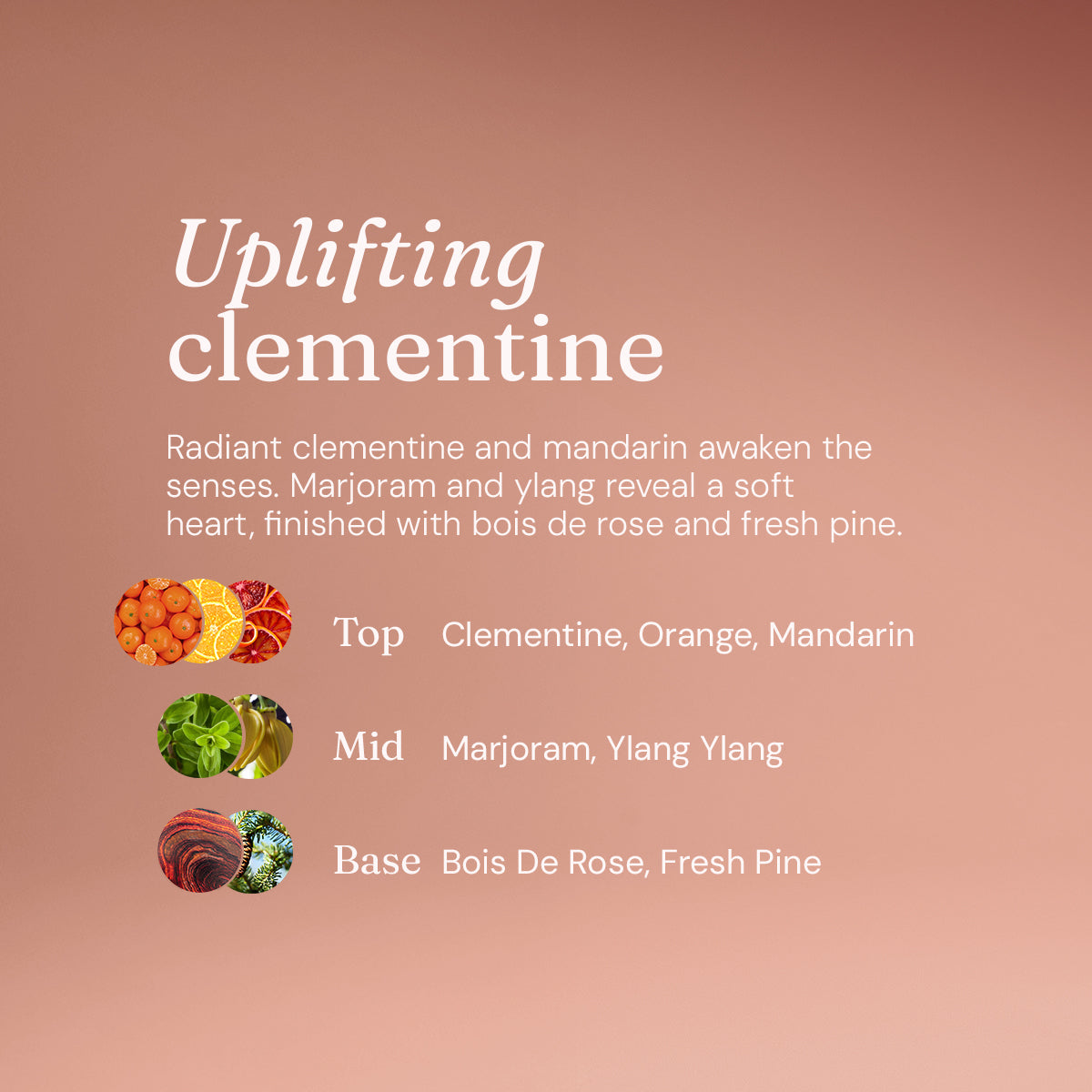 Anti-Bac Hand Soap - Uplifting Clementine - Bulk Refill