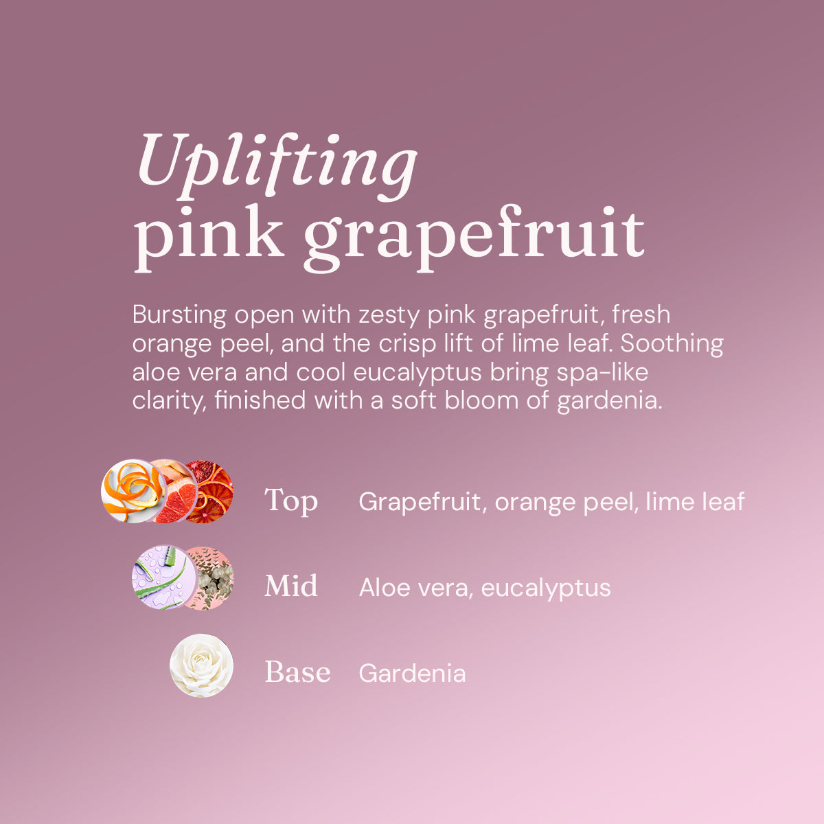 Anti-Bac Surface Cleaner - Uplifting Pink Grapefruit - Bulk Refill