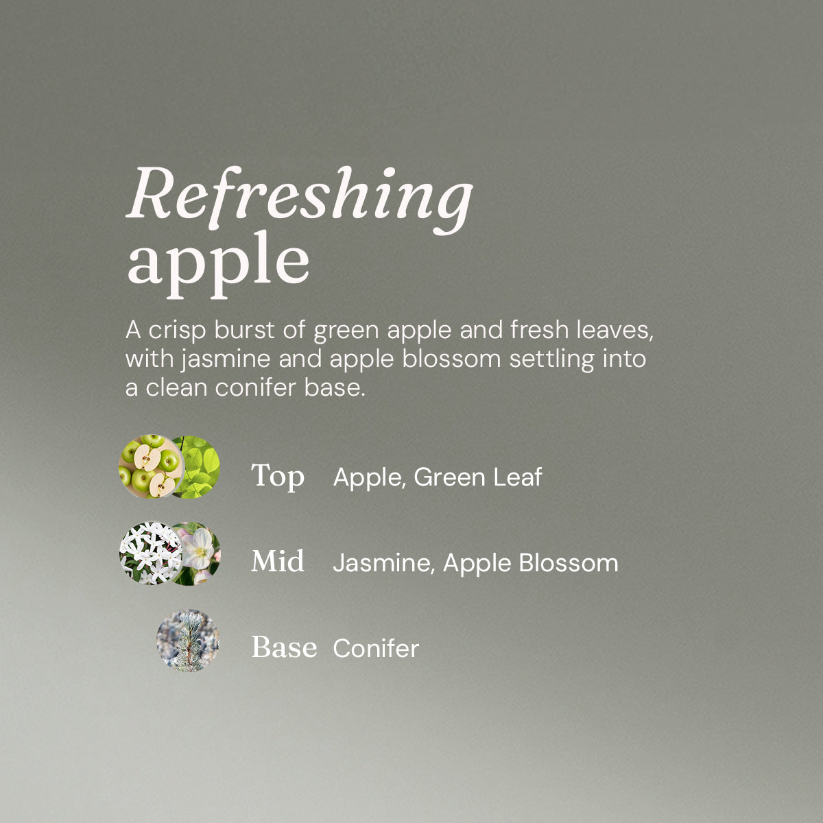 Washing Up Liquid - Refreshing Apple