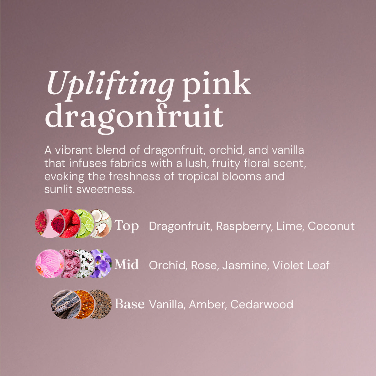 Laundry Starter Pack - Dragonfruit + Orchid
