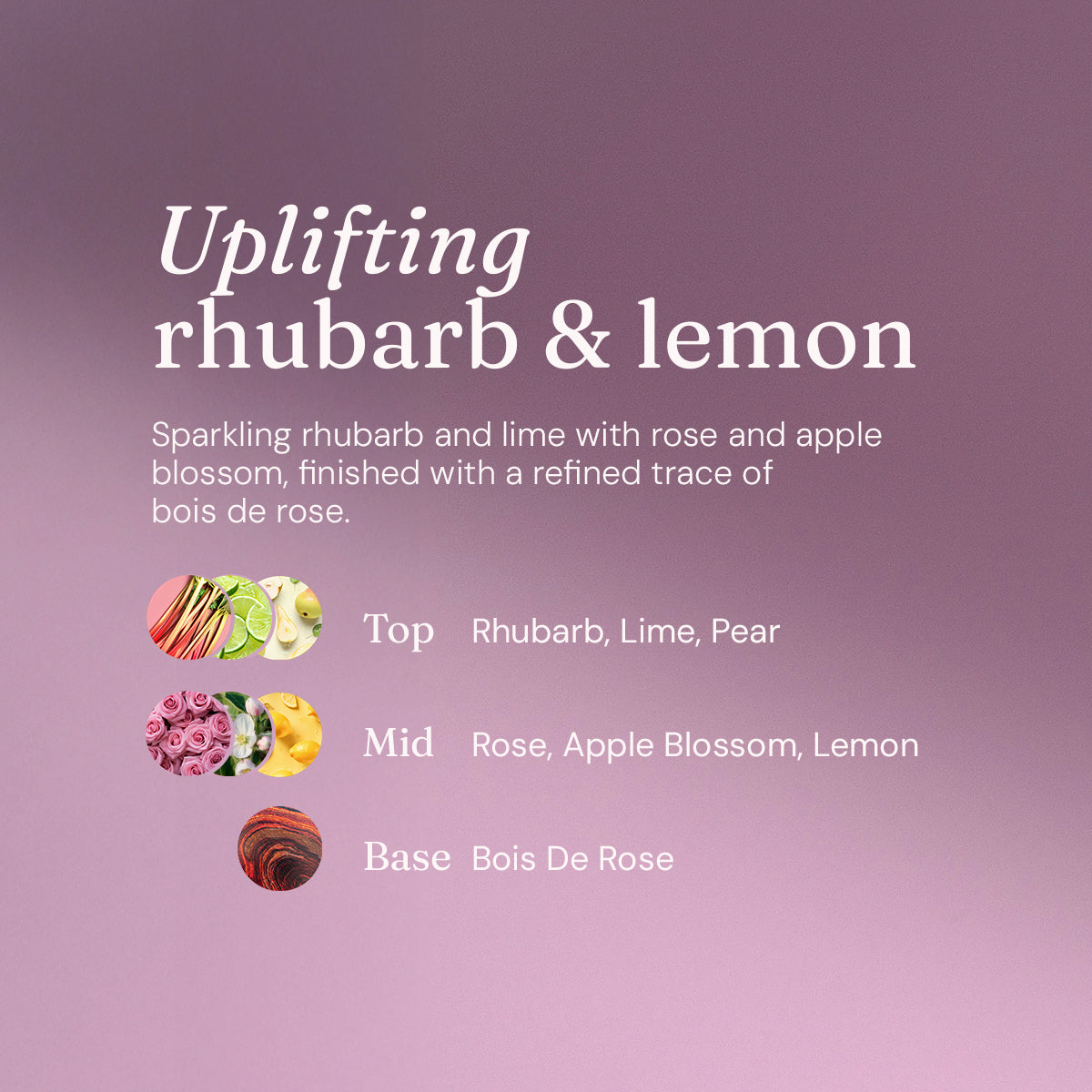 Washing Up Liquid - Uplifting Rhubarb + Lemon