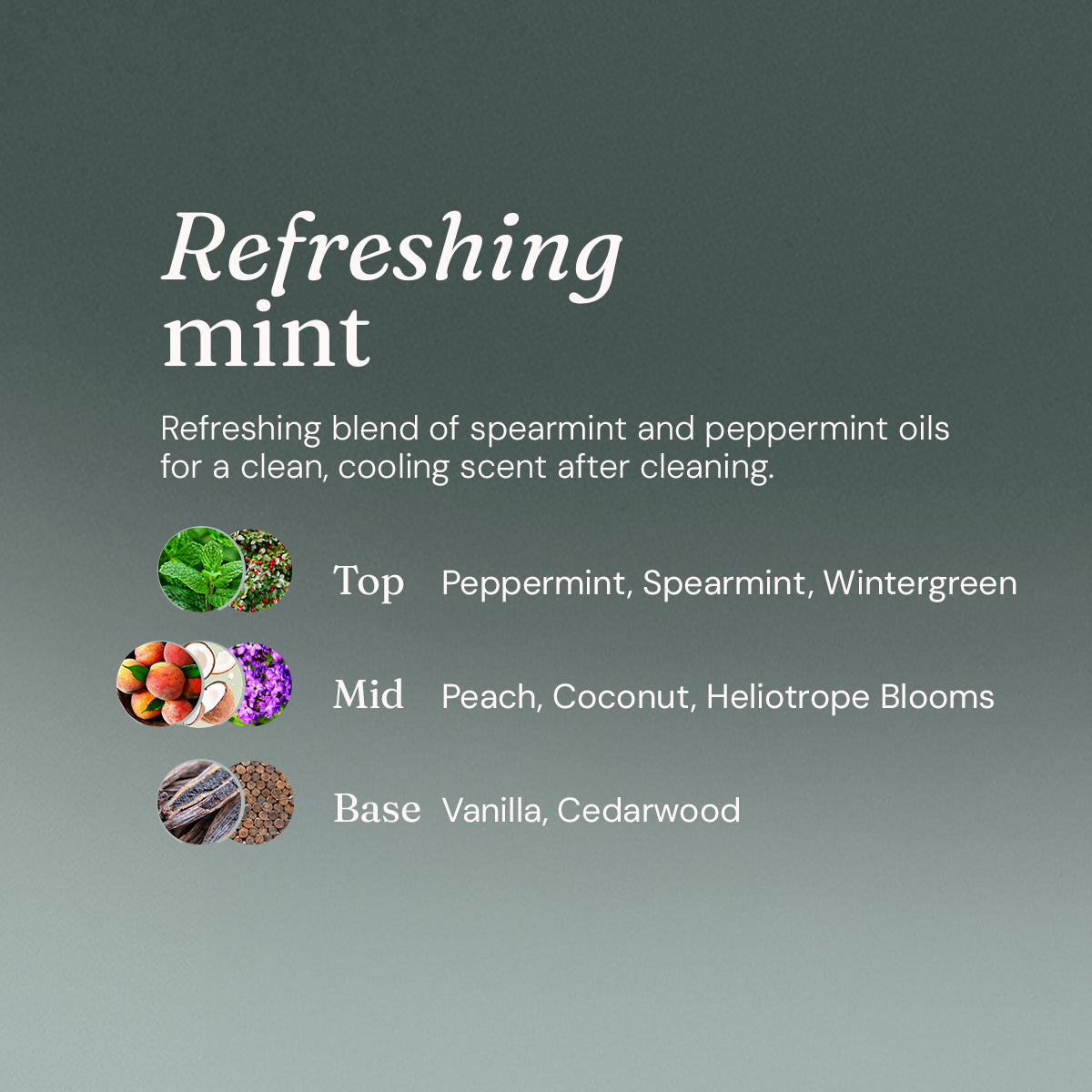 Toilet Cleaner - Refreshing Mint