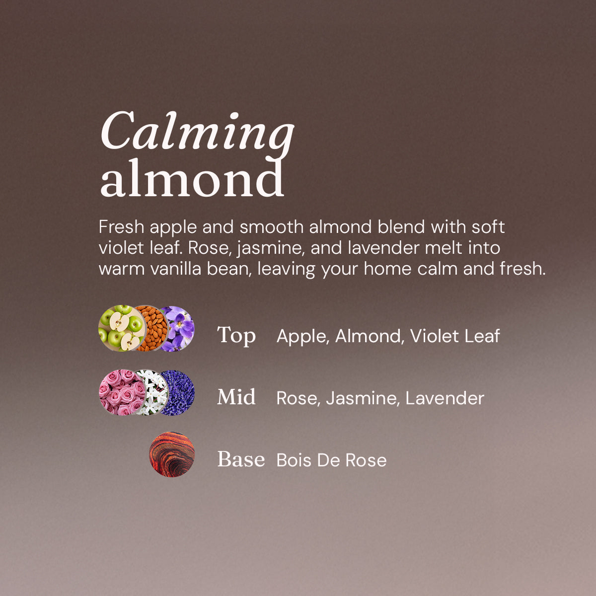 Floor Cleaner - Calming Almond