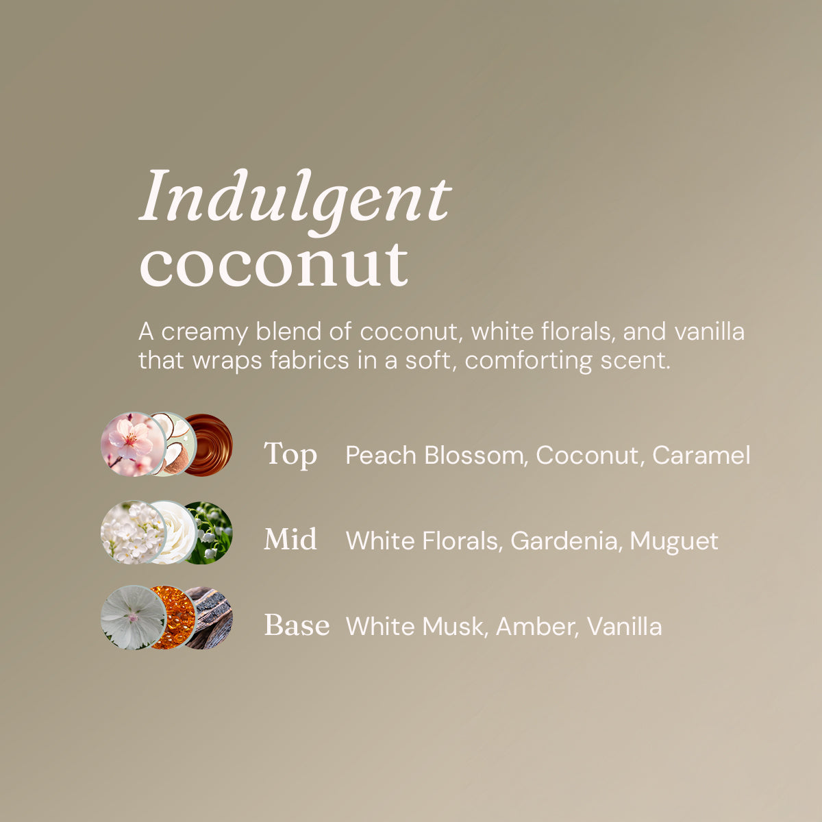 Laundry Liquid - Indulgent Coconut - Bulk Refill (165 Washes)