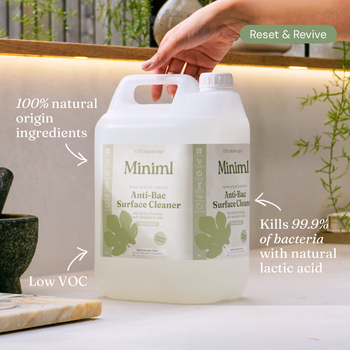 Limited Edition Anti-Bac Surface Cleaner - Refreshing Fig Leaf + Patchouli - Bulk Refill