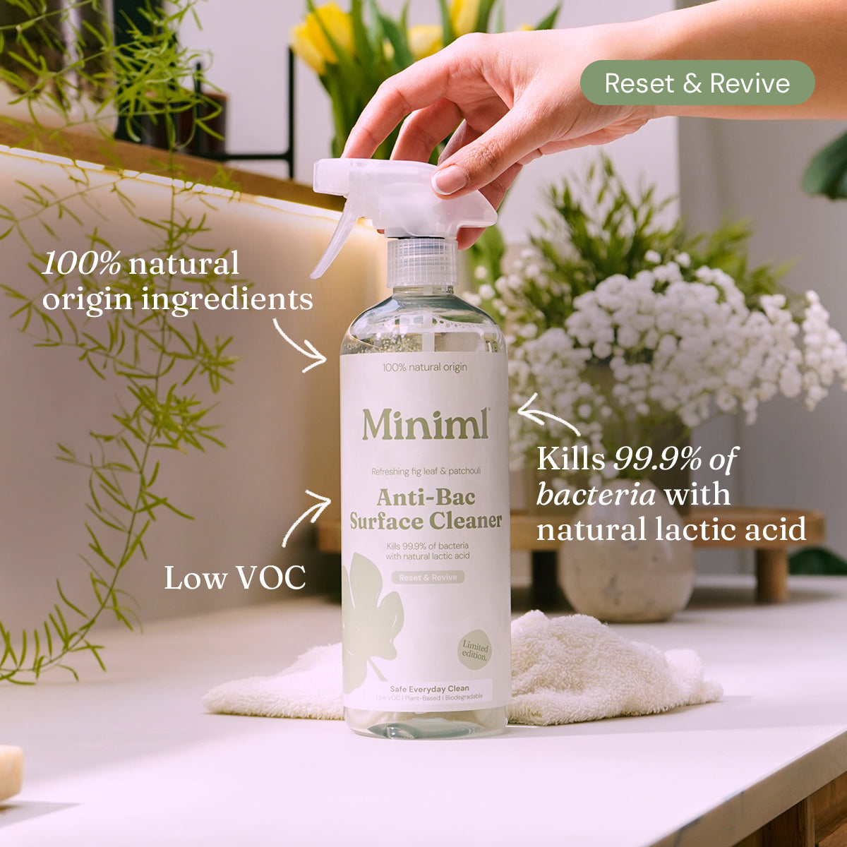 Limited Edition Anti-Bac Surface Cleaner - Refreshing Fig Leaf + Patchouli