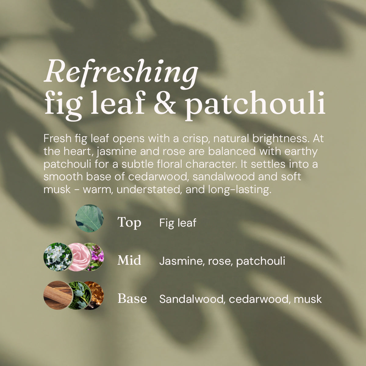 Limited Edition Anti-Bac Surface Cleaner - Refreshing Fig Leaf + Patchouli