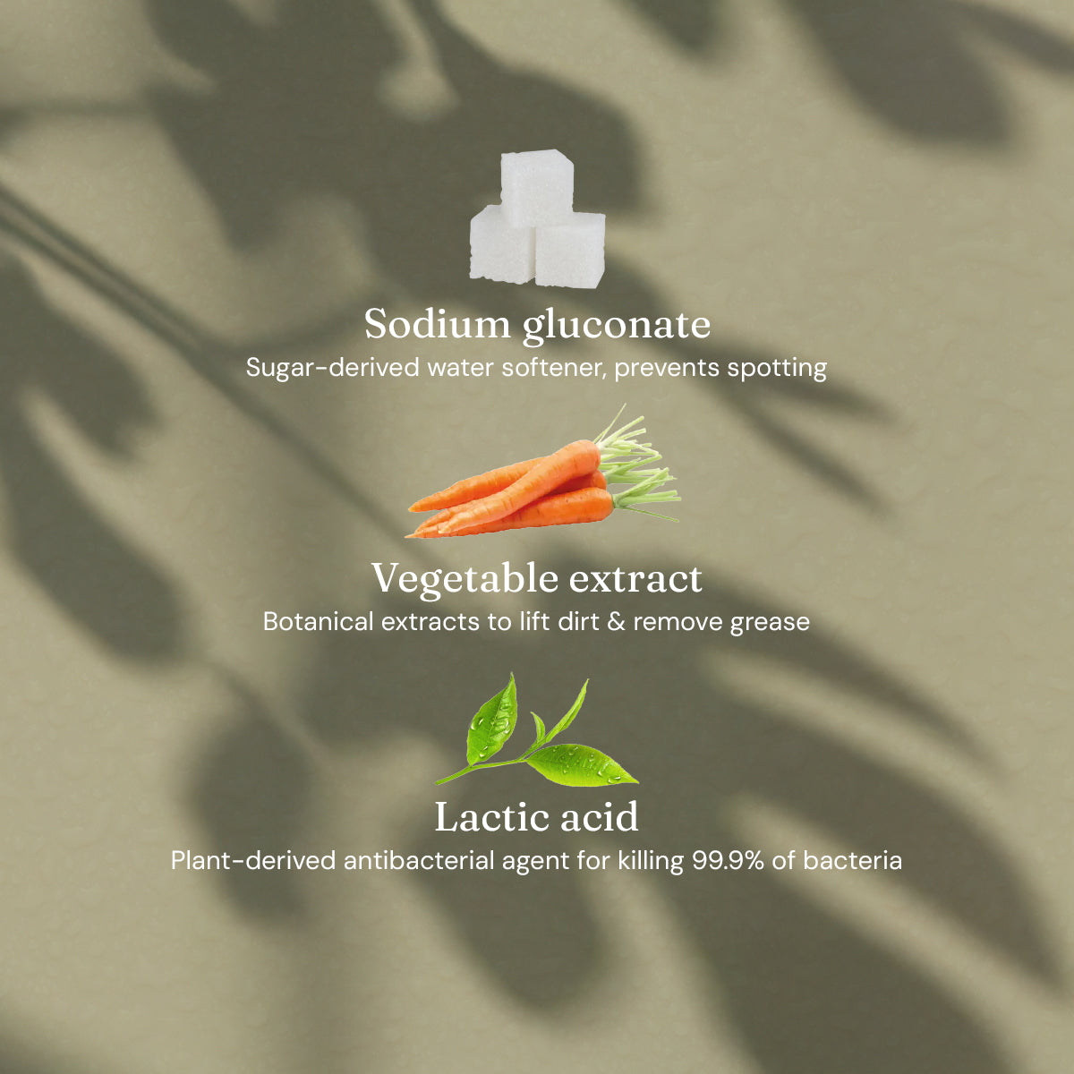Limited Edition Anti-Bac Surface Cleaner - Refreshing Fig Leaf + Patchouli