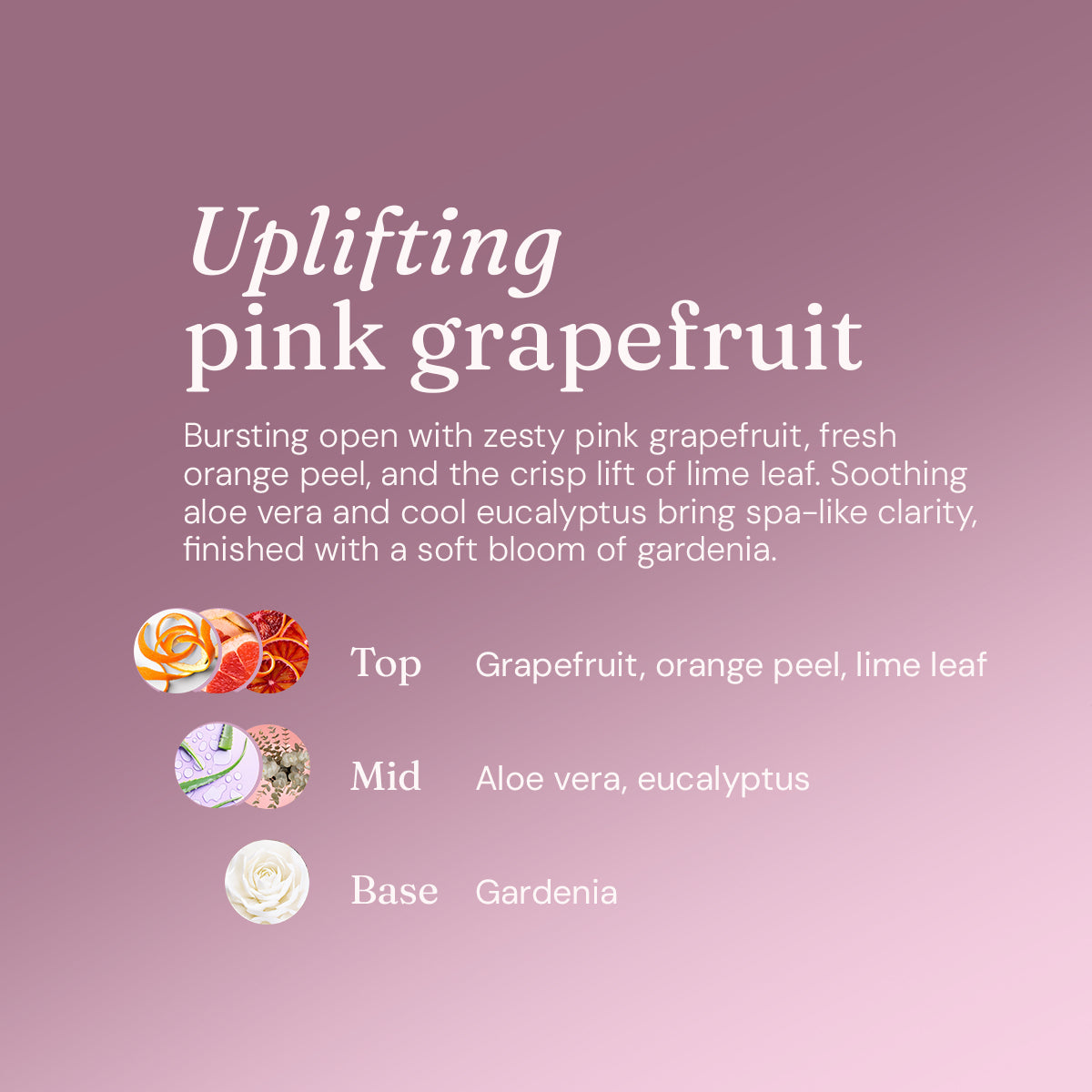 Balancing Shampoo + Conditioner - Uplifting Pink Grapefruit