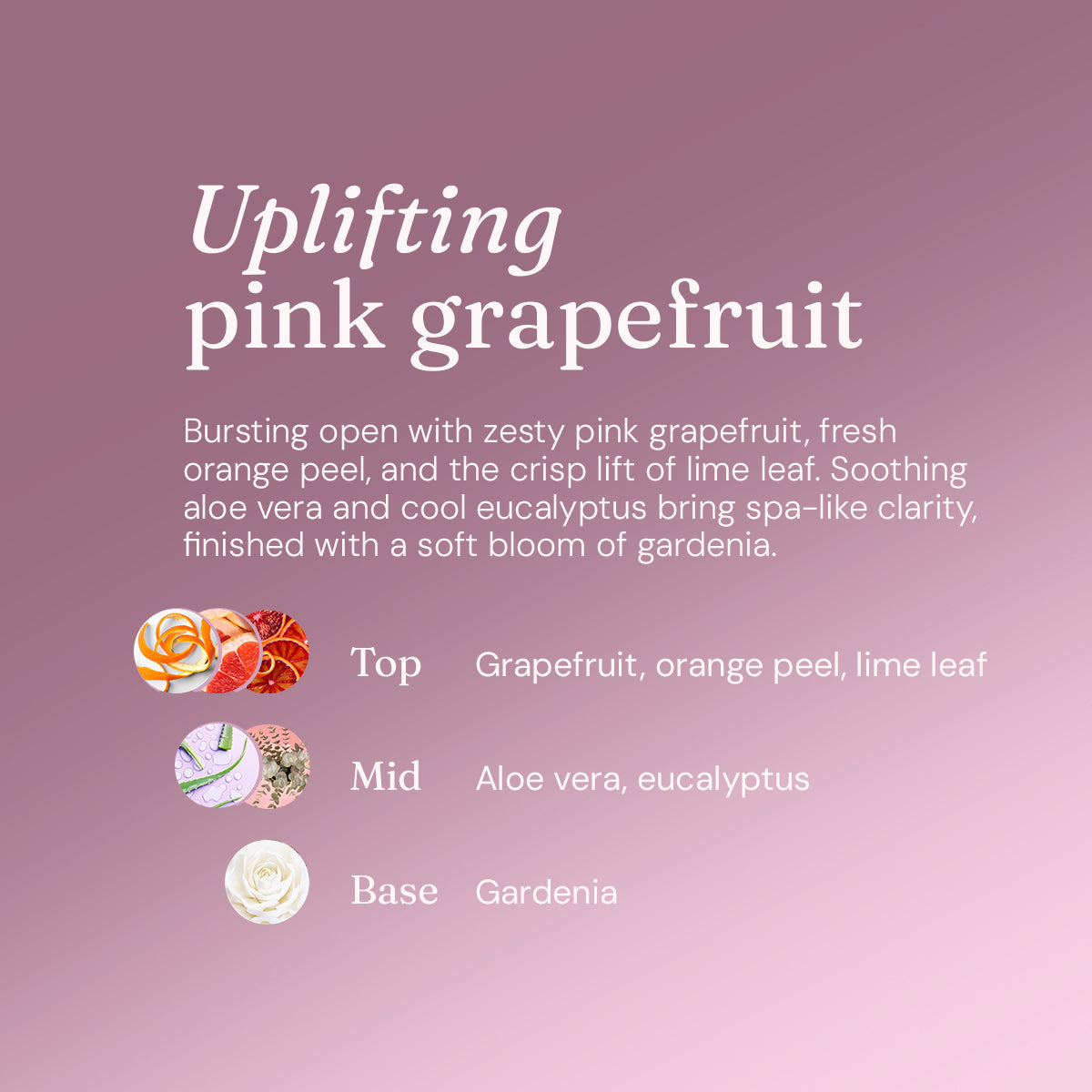 Bodywash + Bubblebath - Pink Grapefruit + Aloe Vera - 1L Refill