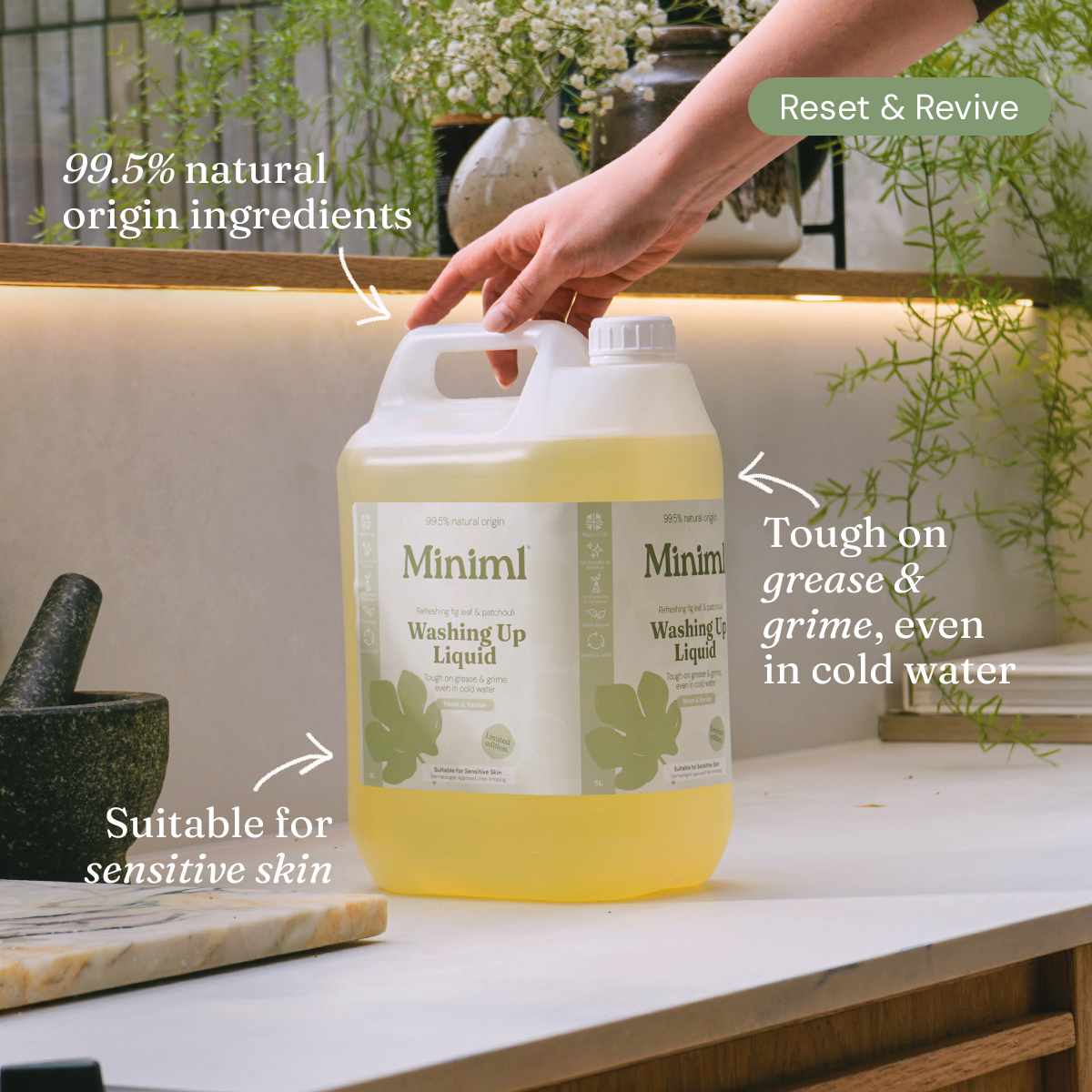 Limited Edition Fig Leaf & Patchouli Refill Bundle + Bottle