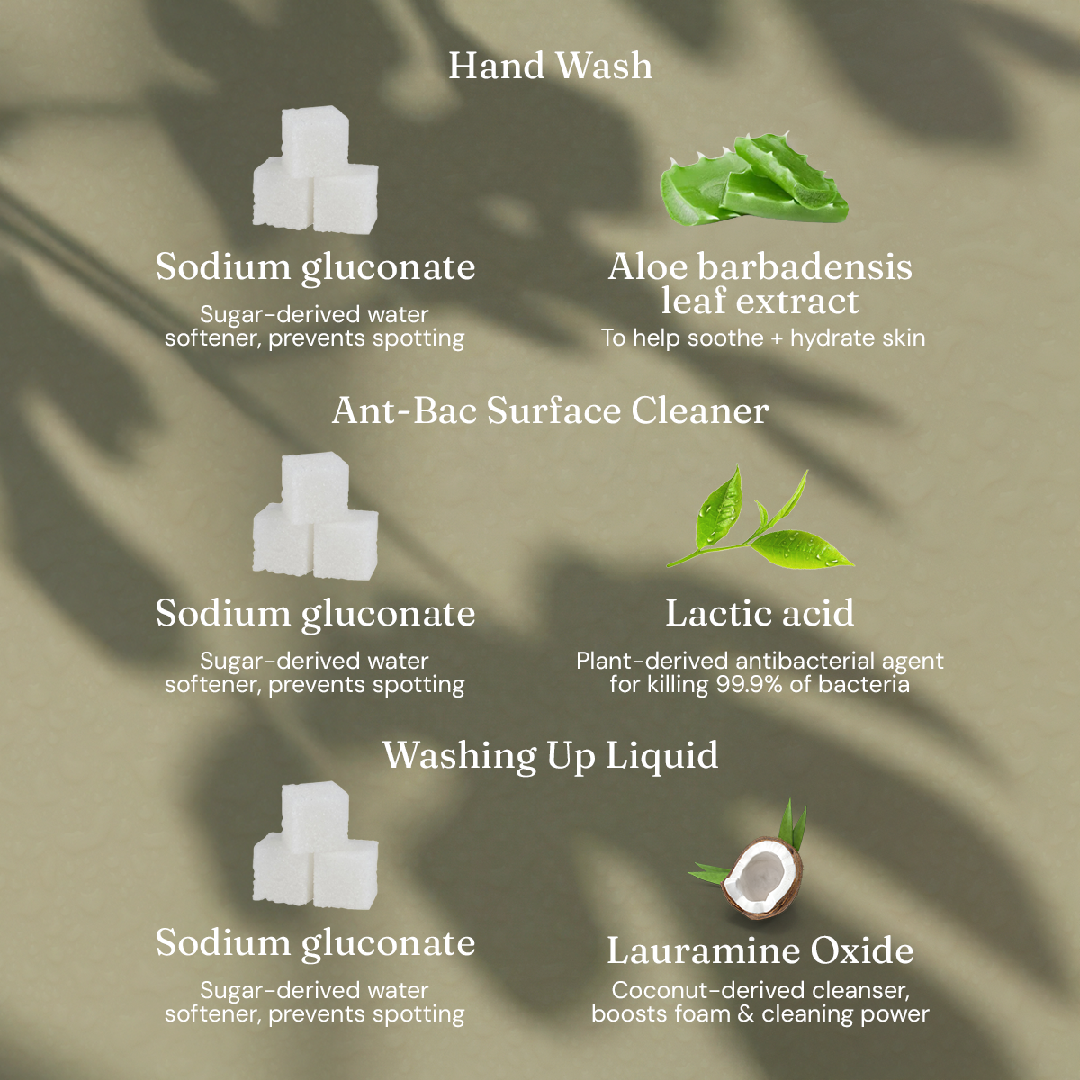 Limited Edition Fig Leaf + Patchouli Bundle