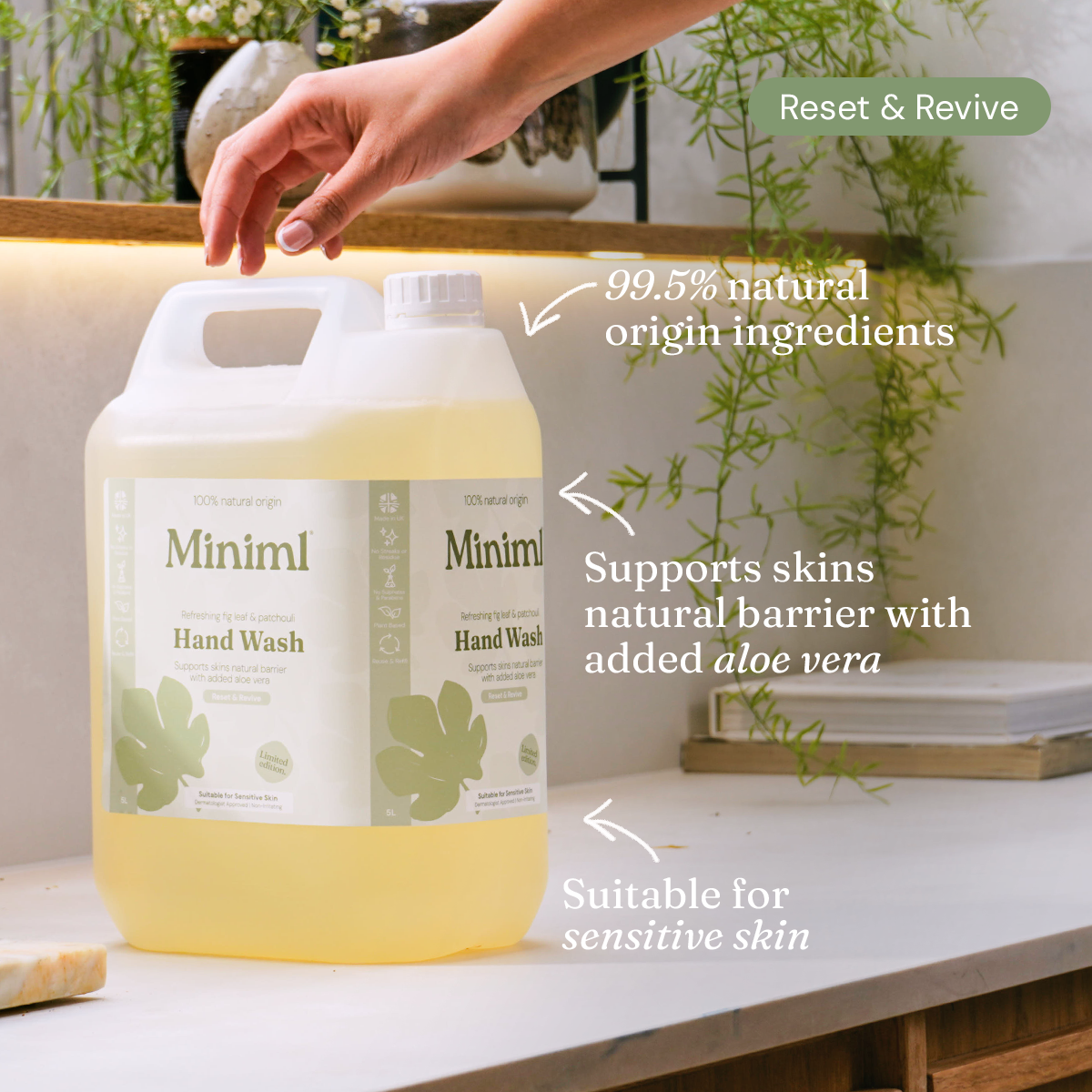 Limited Edition Hand Soap - Refreshing Fig Leaf + Patchouli - Bulk Refill