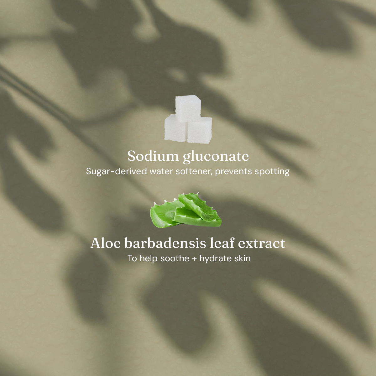Limited Edition Hand Soap - Refreshing Fig Leaf + Patchouli - Bulk Refill
