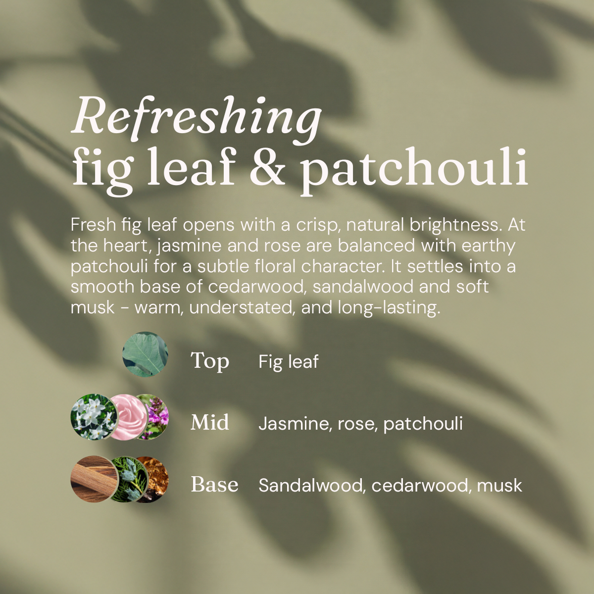 Limited Edition Hand Soap - Refreshing Fig Leaf + Patchouli