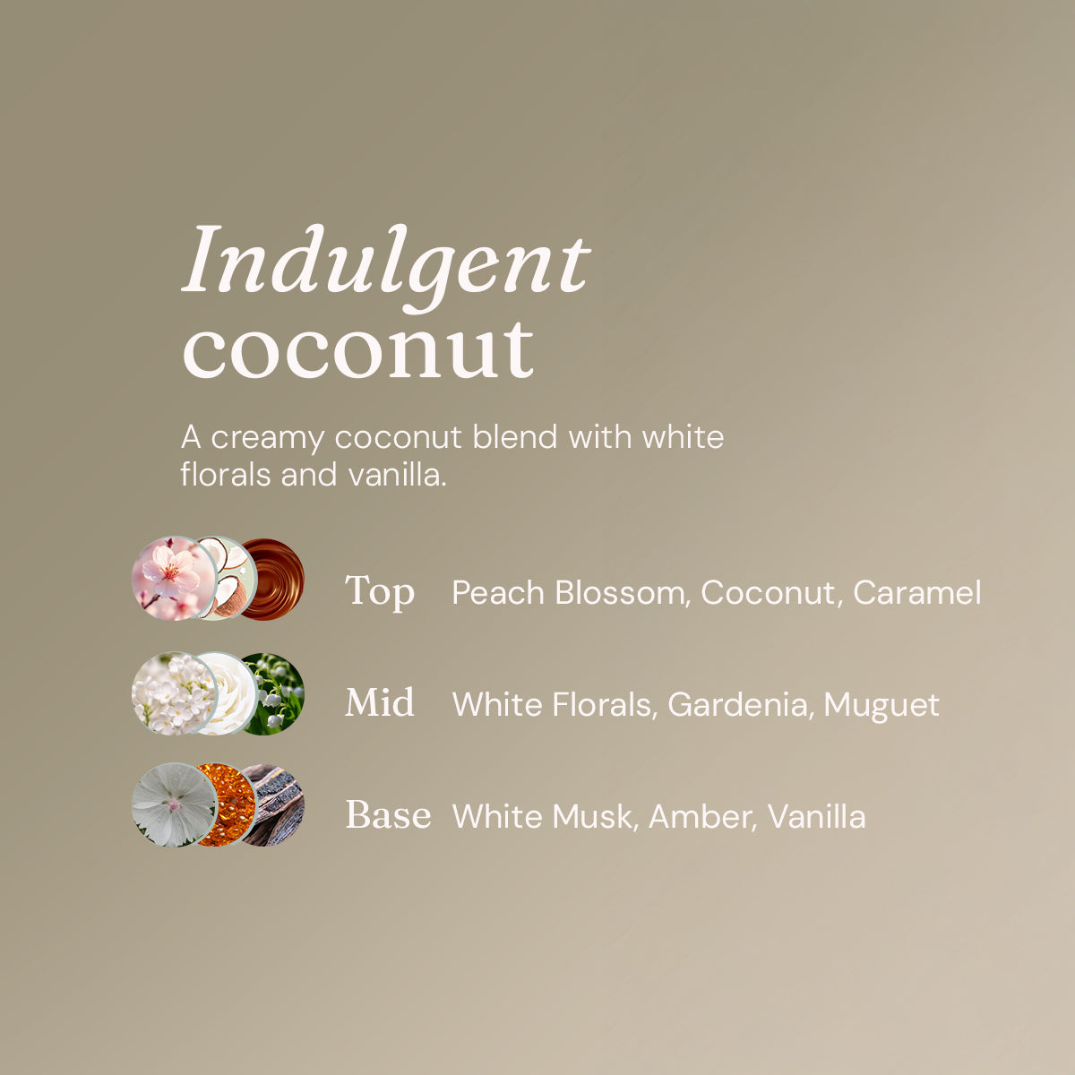 Hydrating Shampoo + Conditioner - Indulgent Coconut
