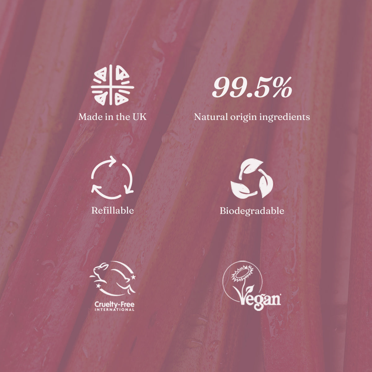 Kitchen Cleaning Bundle