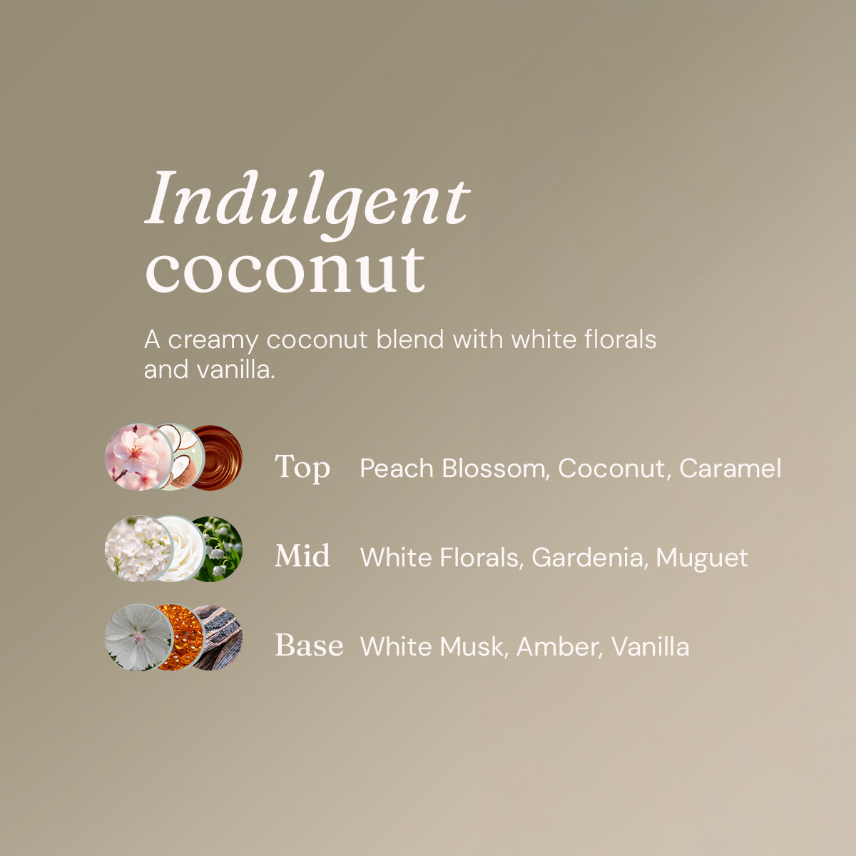 Laundry Essentials Bundle - Indulgent Coconut