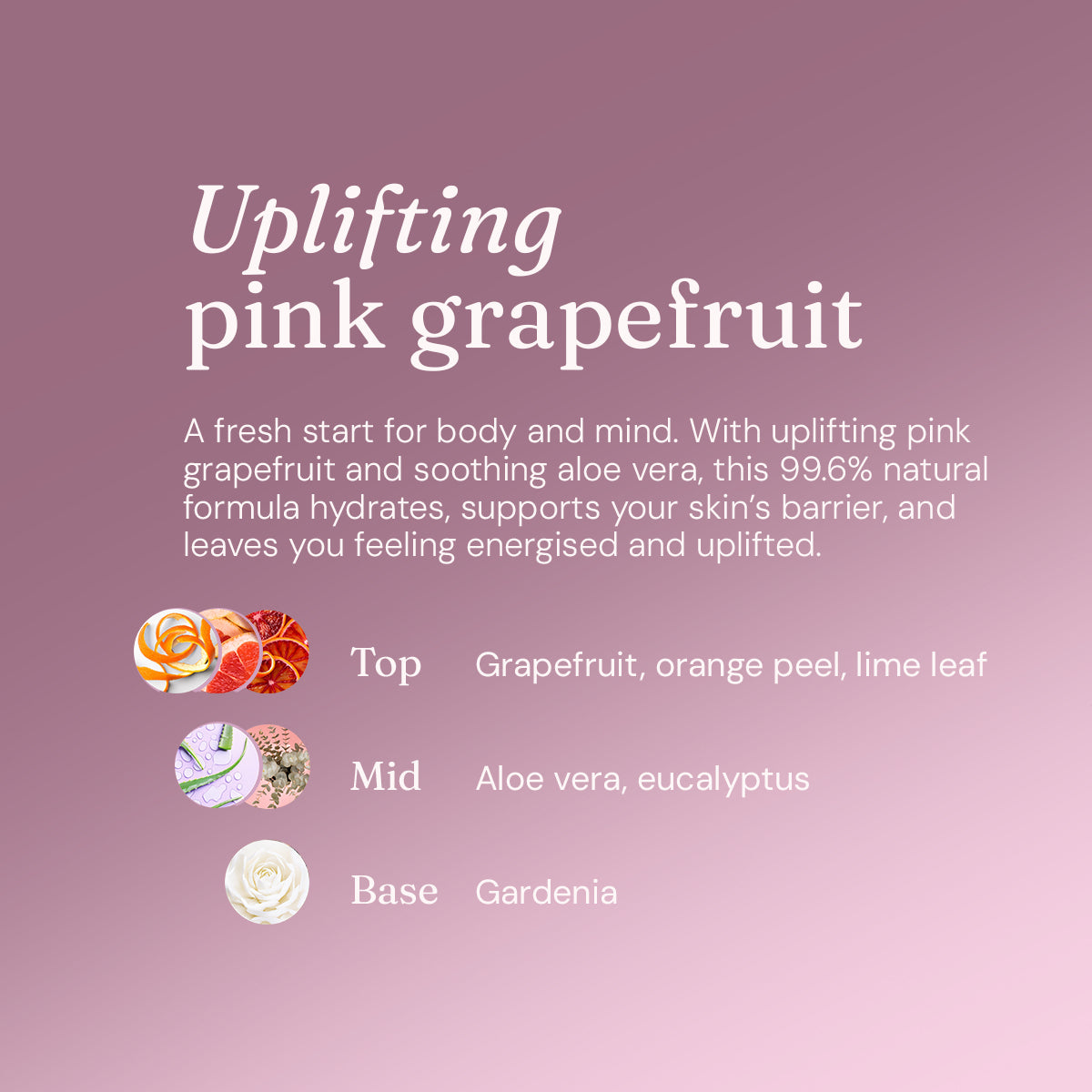 Bodywash + Bubblebath - Uplifting Pink Grapefruit - Bulk Refill