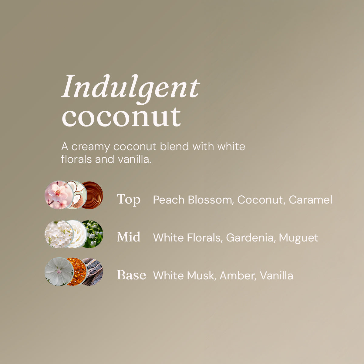 Bodywash + Bubblebath - Indulgent Coconut - Bulk Refill