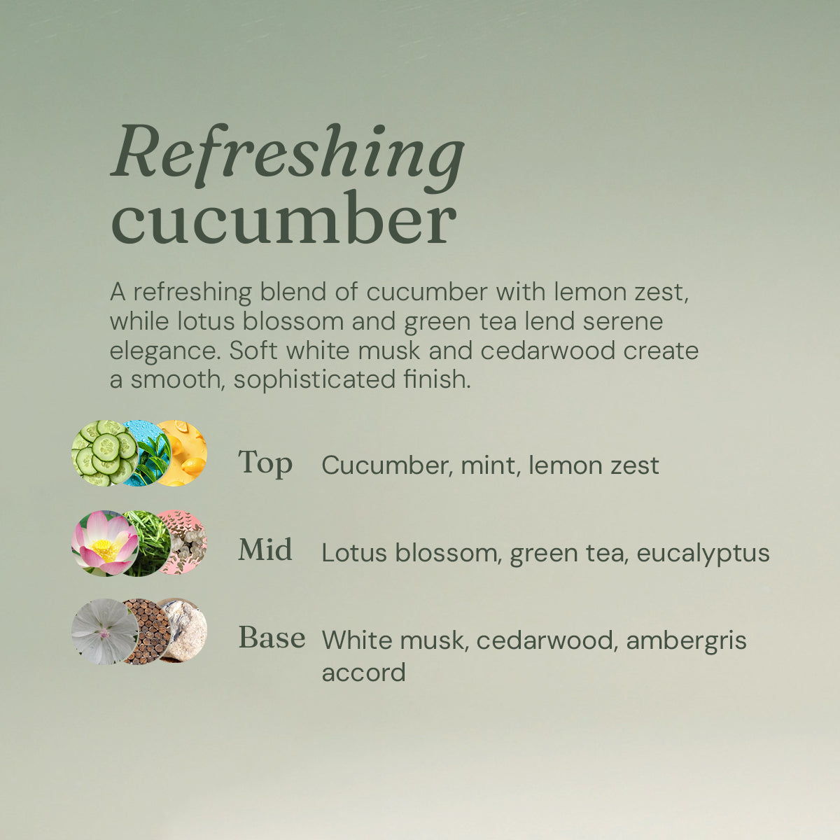 Hand Soap - Calming Cucumber - Bulk Refill