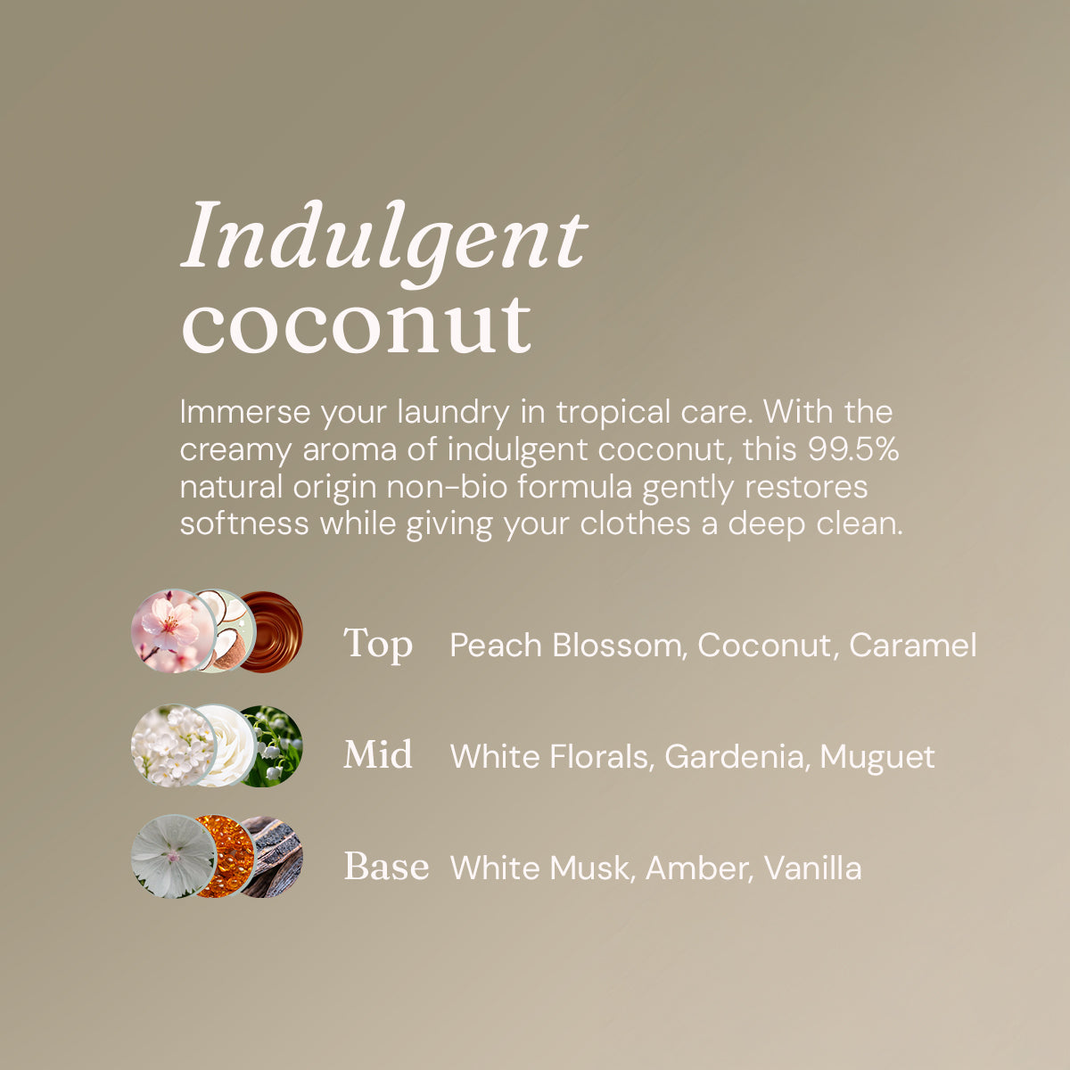 Laundry Liquid - Indulgent Coconut