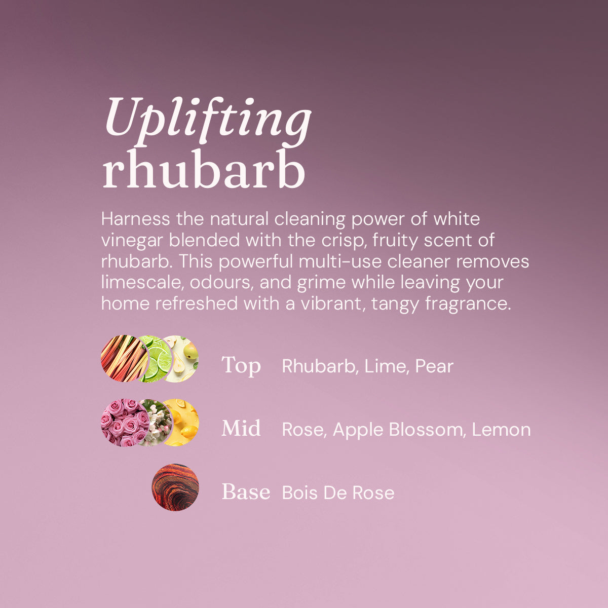 White Vinegar - Uplifting Rhubarb
