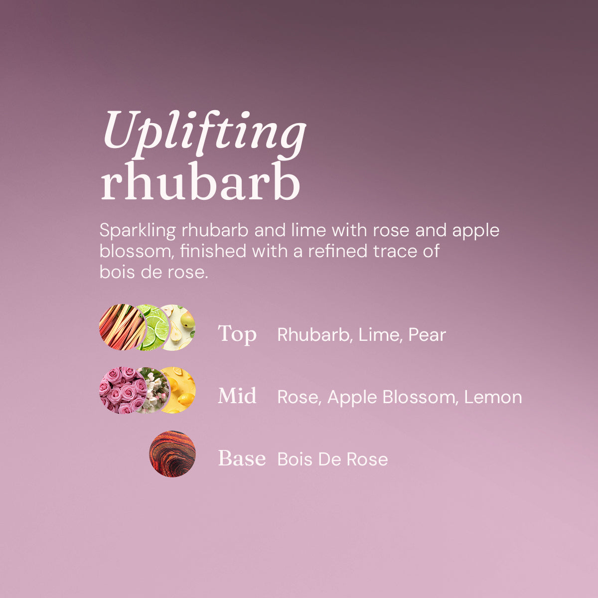 White Vinegar - Uplifting Rhubarb - Bulk Refill