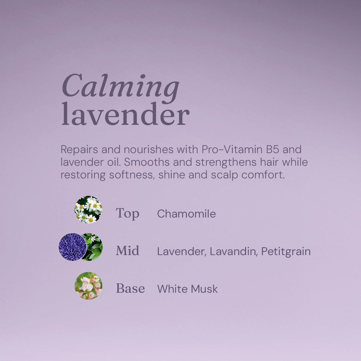Nourishing Conditioner - Calming Lavender - Bulk Refill