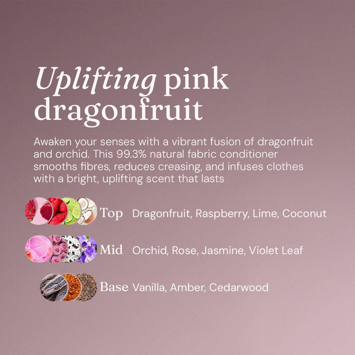 Fabric Conditioner - Uplifting Dragonfruit + Orchid