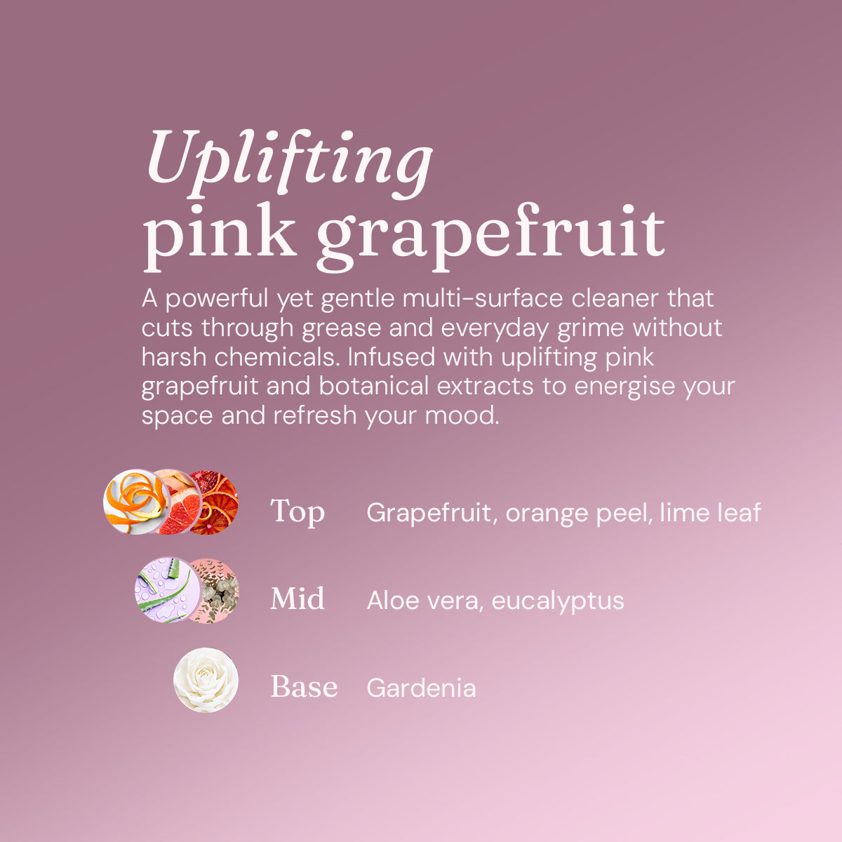 Anti-Bac Surface Cleaner - Uplifting Pink Grapefruit