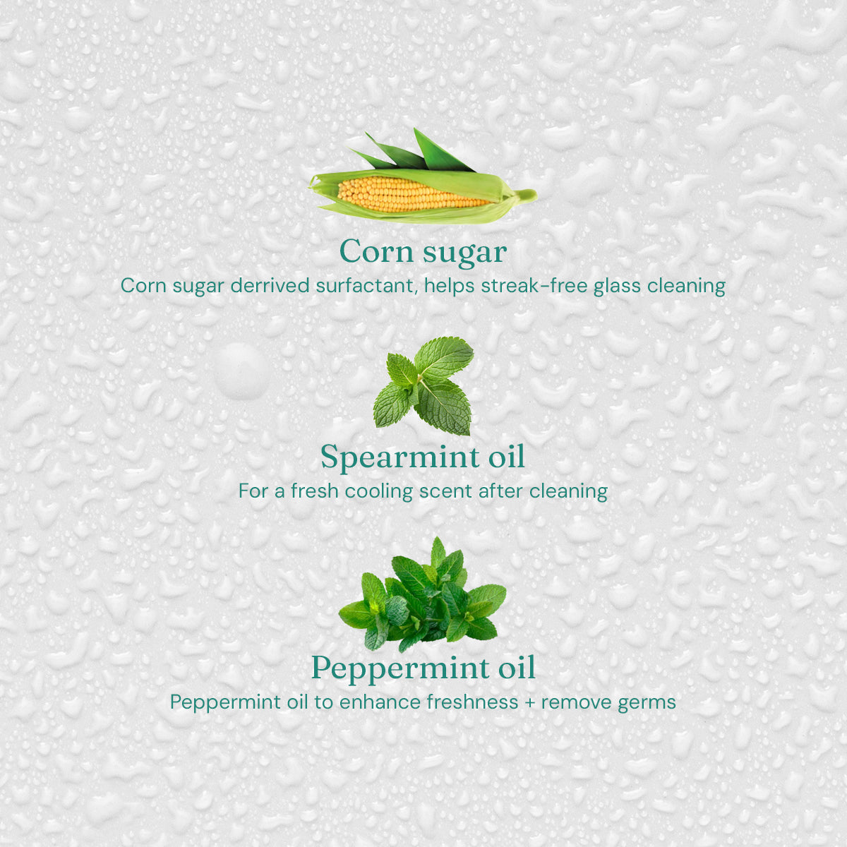 Window + Glass Cleaner - Refreshing Mint