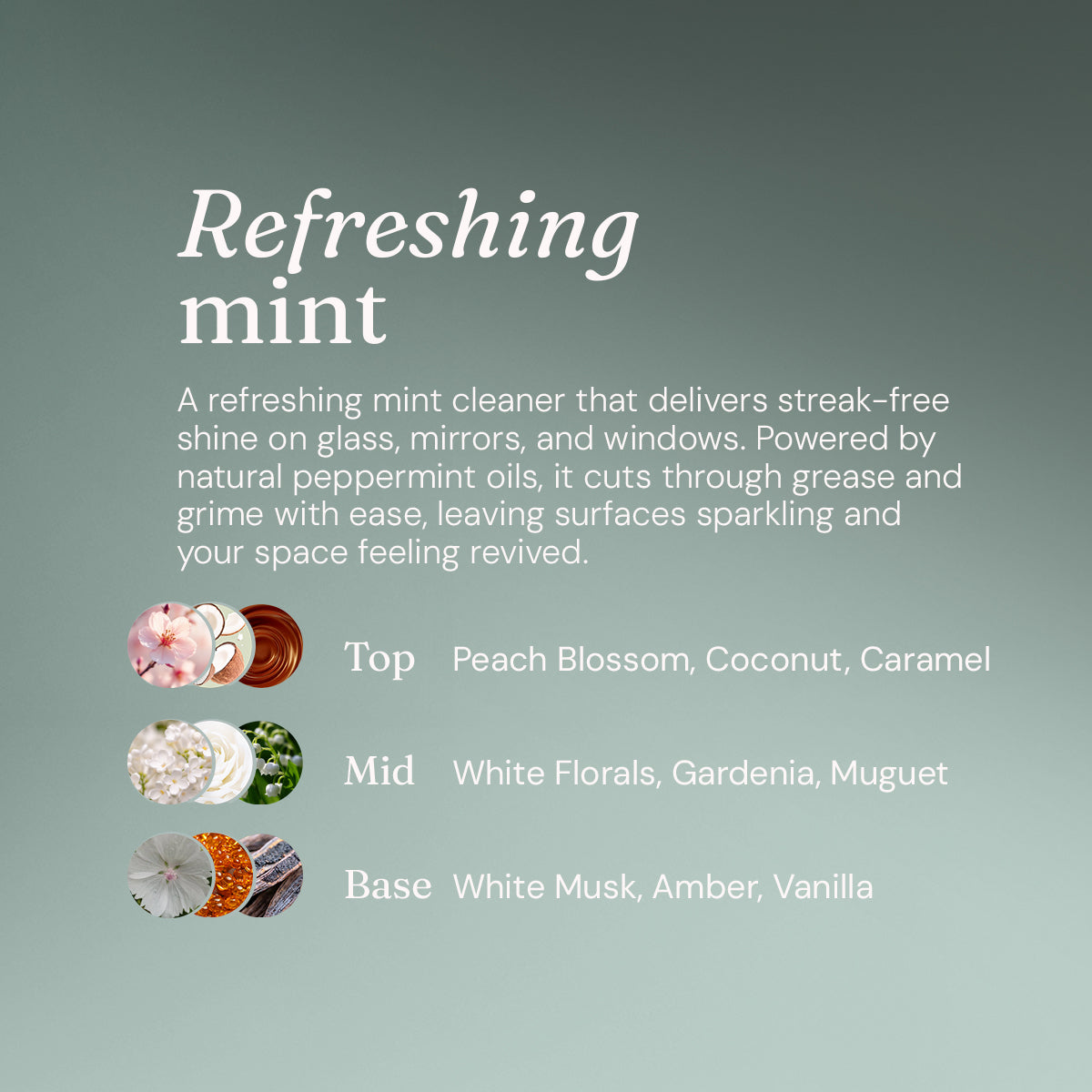 Window + Glass Cleaner - Refreshing Mint