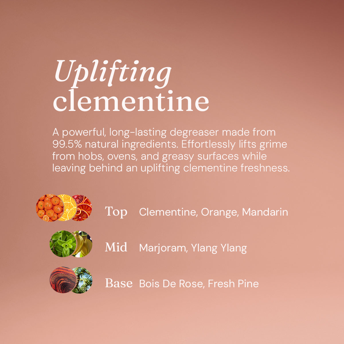Oven + Hob Cleaner - Uplifting Clementine