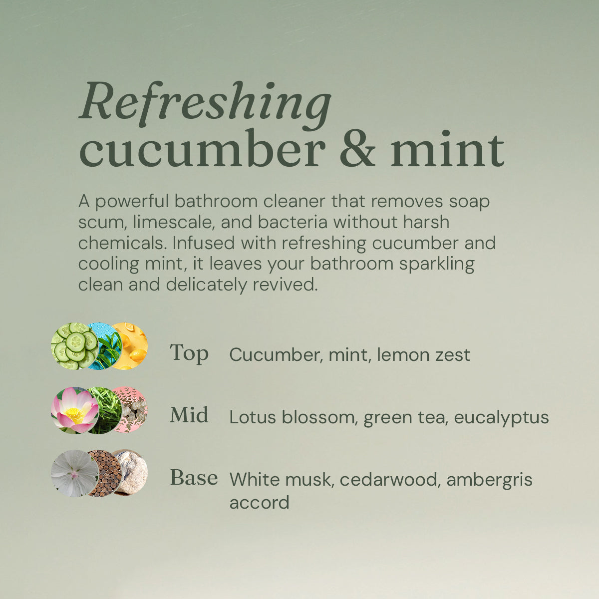 Anti-Bac Bathroom Cleaner - Refreshing Cucumber + Mint