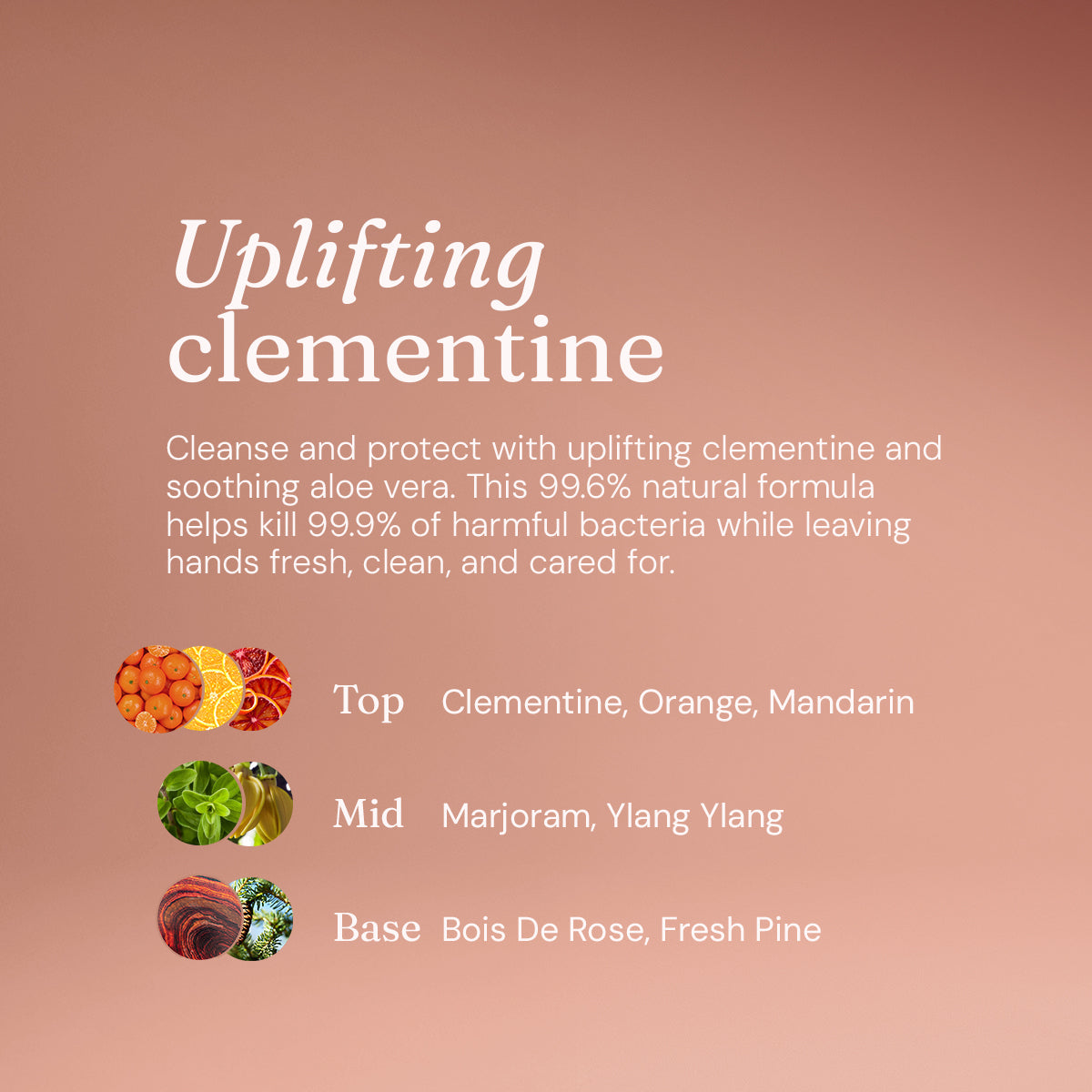 Anti-Bac Hand Soap - Uplifting Clementine