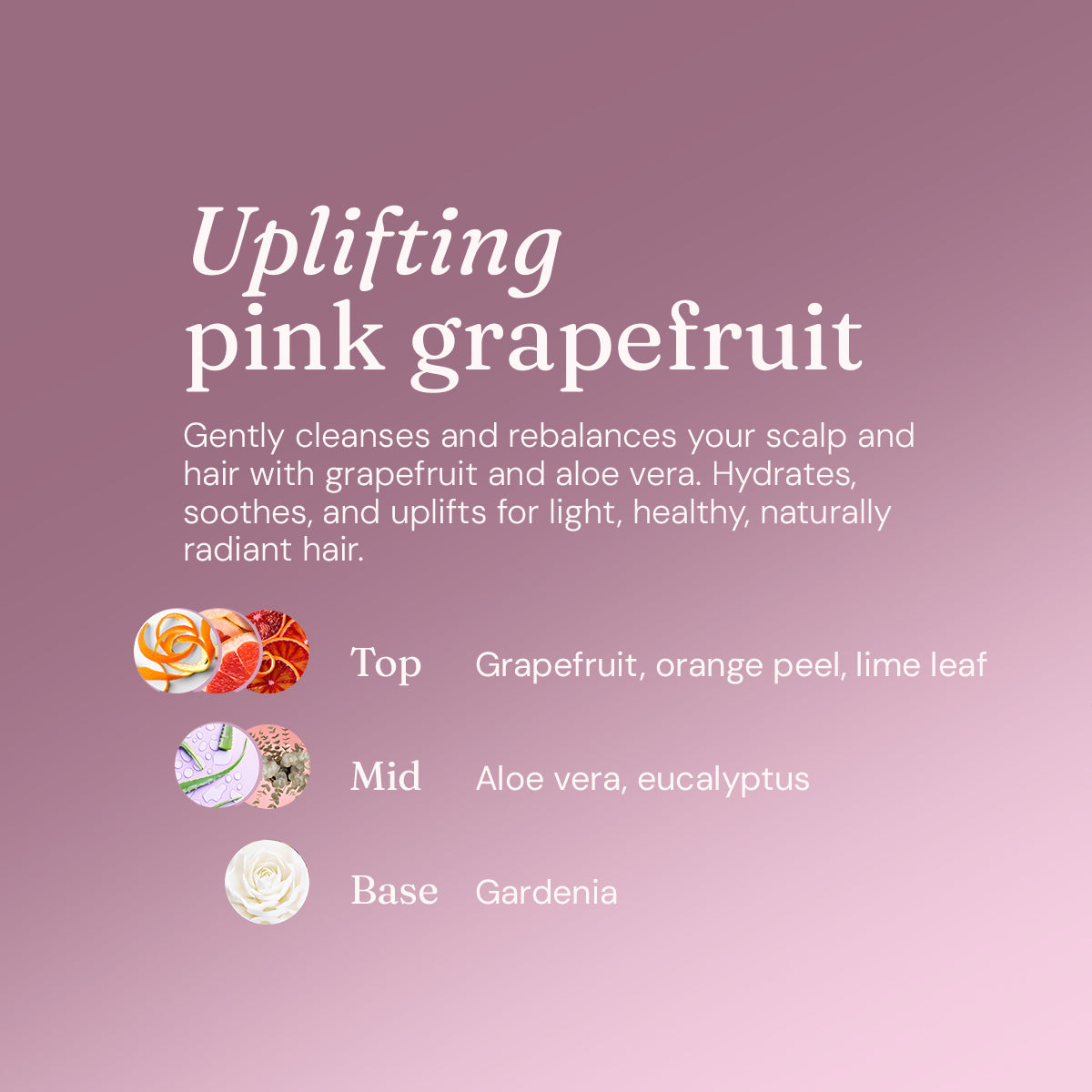 Balancing Shampoo - Uplifting Pink Grapefruit