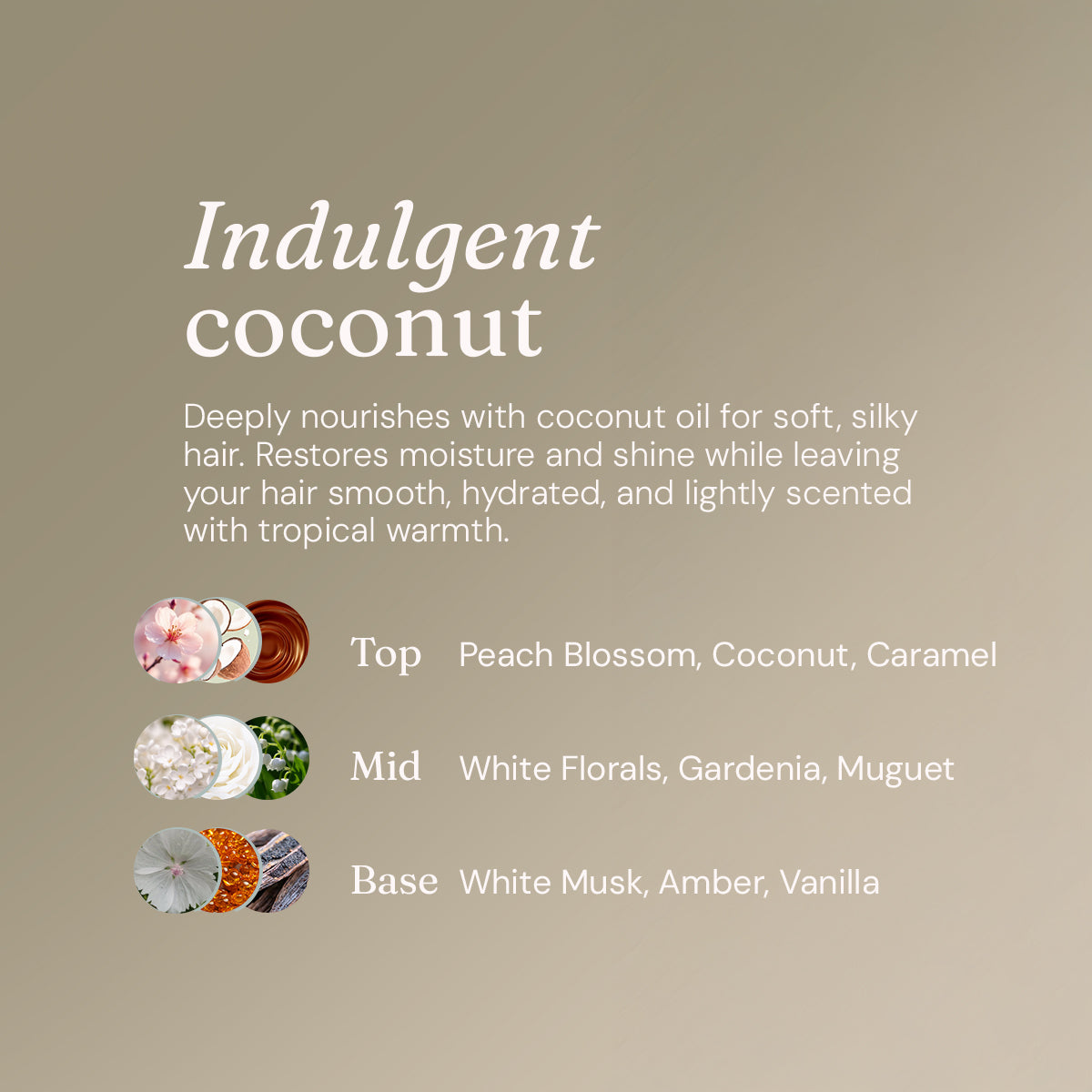 Hydrating Shampoo - Indulgent Coconut