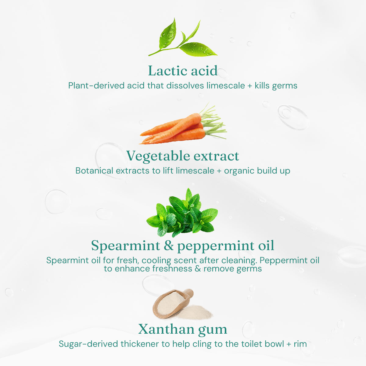 Toilet Cleaner - Refreshing Mint