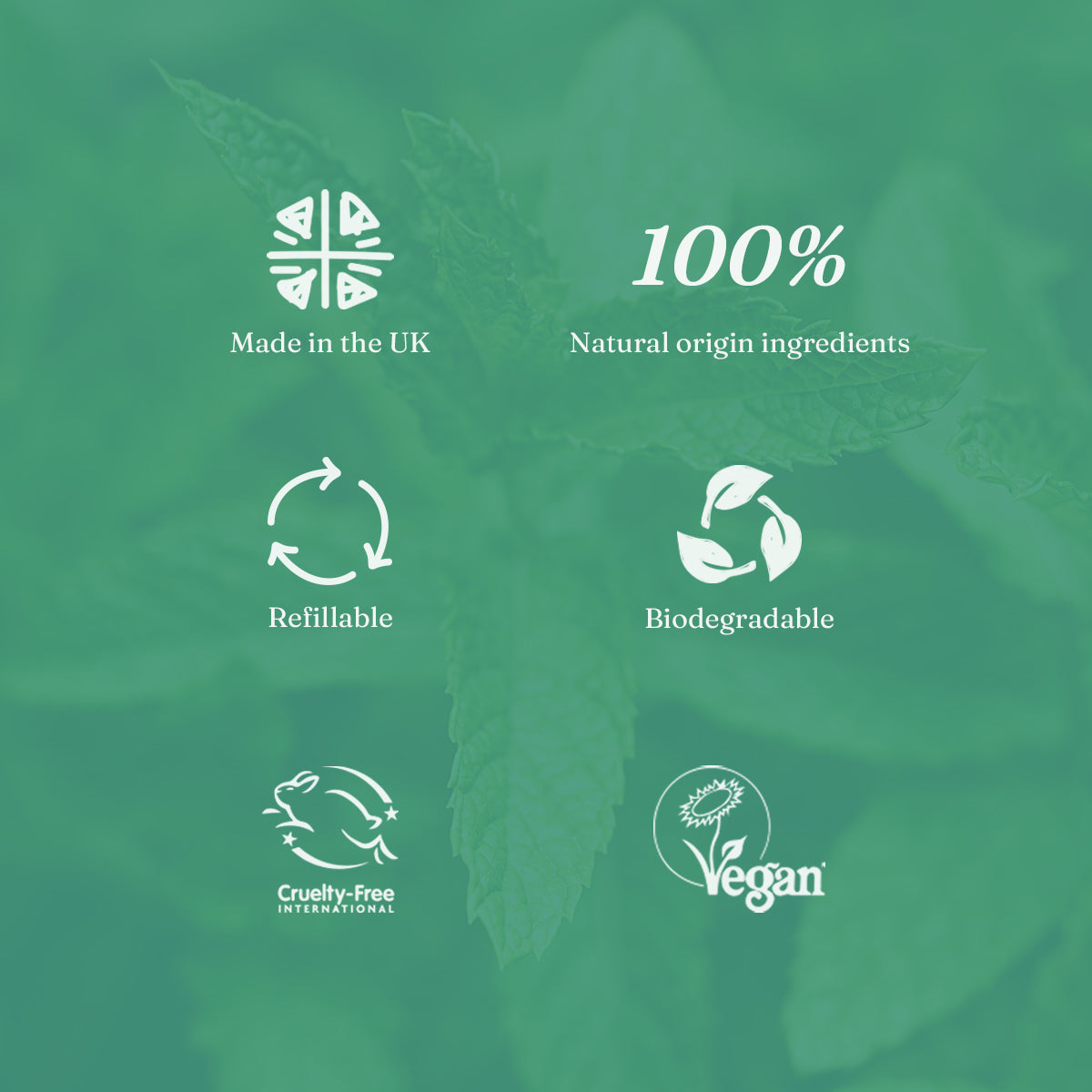 Toilet Cleaner - Refreshing Mint