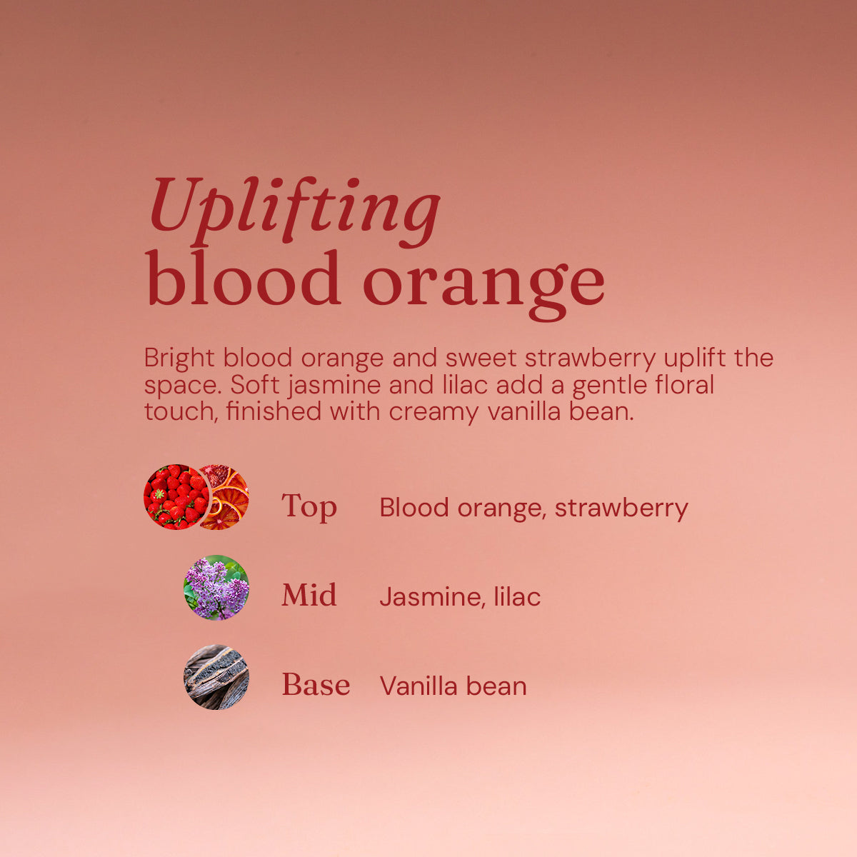 Multi-Surface Cleaner - Blood Orange - 1L Refill