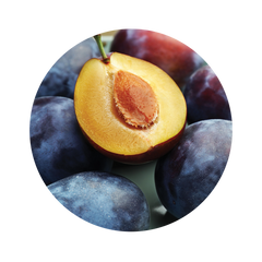 Plum