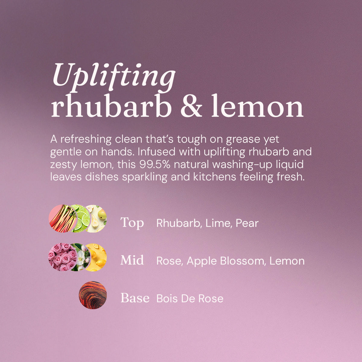 Washing Up Liquid - Wild Rhubarb + Lemon - 1L Refill