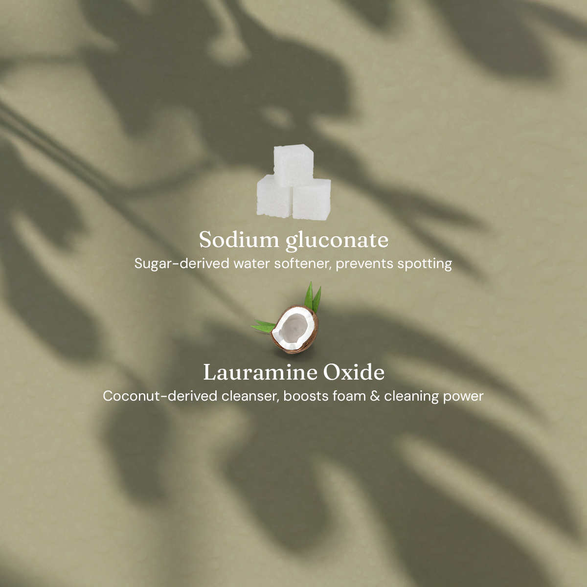 Limited Edition Washing Up Liquid - Refreshing Fig Leaf + Patchouli - Bulk Refill